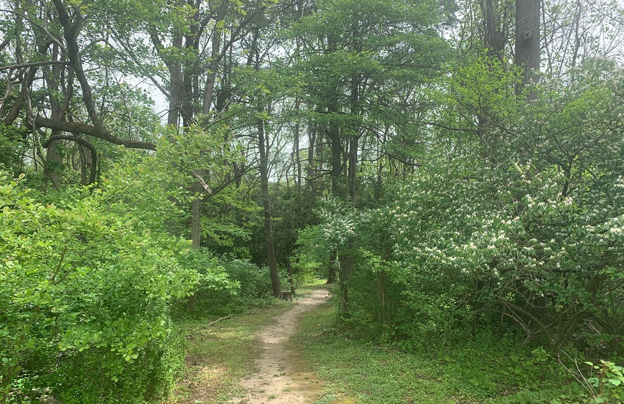 Wells Street Open Space