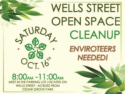 2021 Fall Wells St Cleanup Thumb