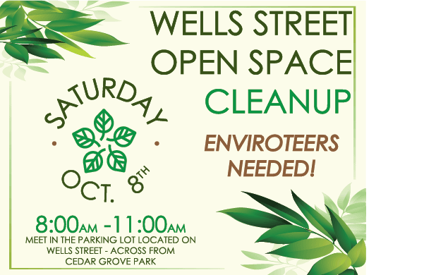 2022 Fall Wells St Cleanup Thumb