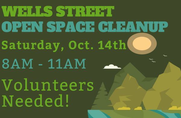2023 Wells St. Open Space Clean-up Thumnail