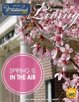 SPRING 2020 WL Cover