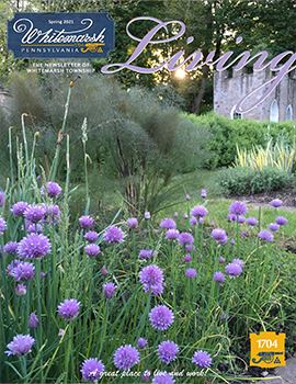 SPRING 2021 WL Cover