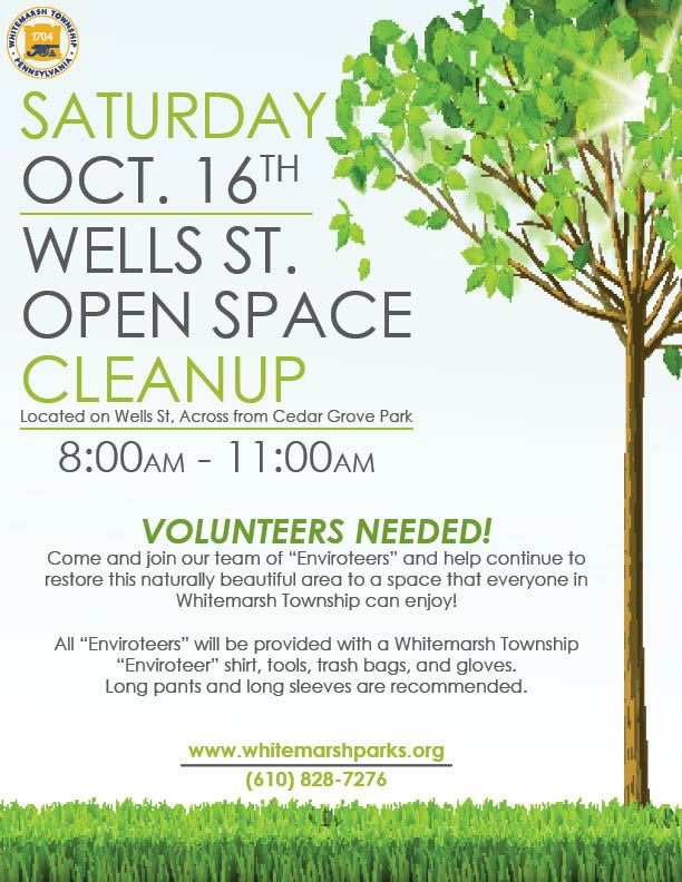 2021 Wells Street Clean Up Flyer