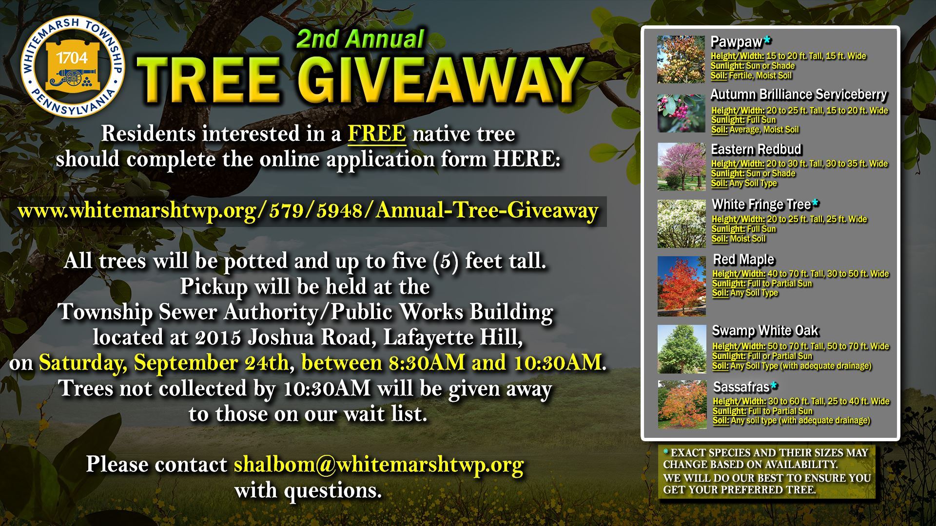 treegiveawayflyer